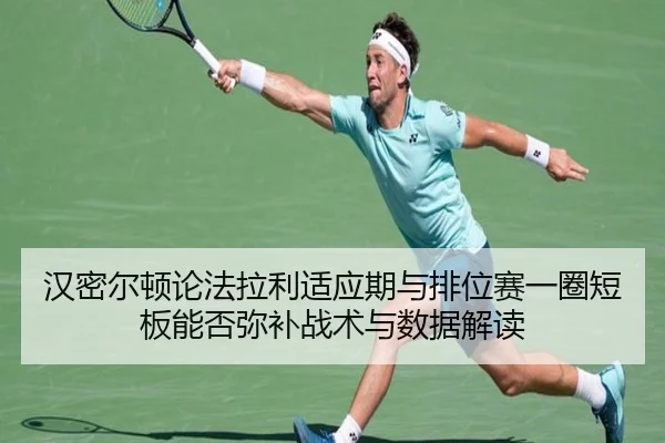 han-mi-er-dun-lun-fa-la-li-shi-ying-qi-yu-pai-wei-sai-yi-quan-duan-ban-neng-fou-mi-bu-zhan-shu-yu-shu-ju-jie-du-2-779.jpg
