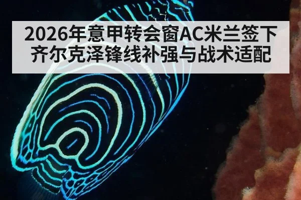 2026年意甲转会窗AC米兰签下齐尔克泽锋线补强与战术适配